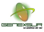 BAS·GGI | GENEXSUR, SC